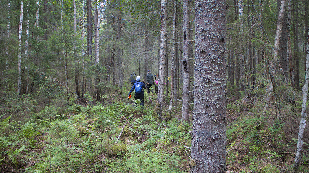 Ihmisiä metsässä