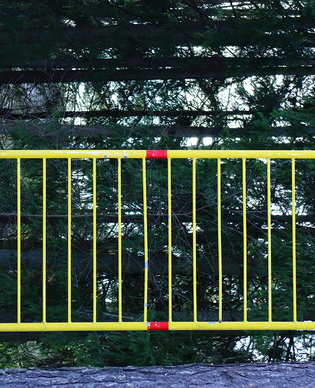 Pätkä kelta-punaista metallista työmaa-aitaa, jonka takana näkyy havupuita. Havupuut näyttävät kasvavan sivusuunnassa.