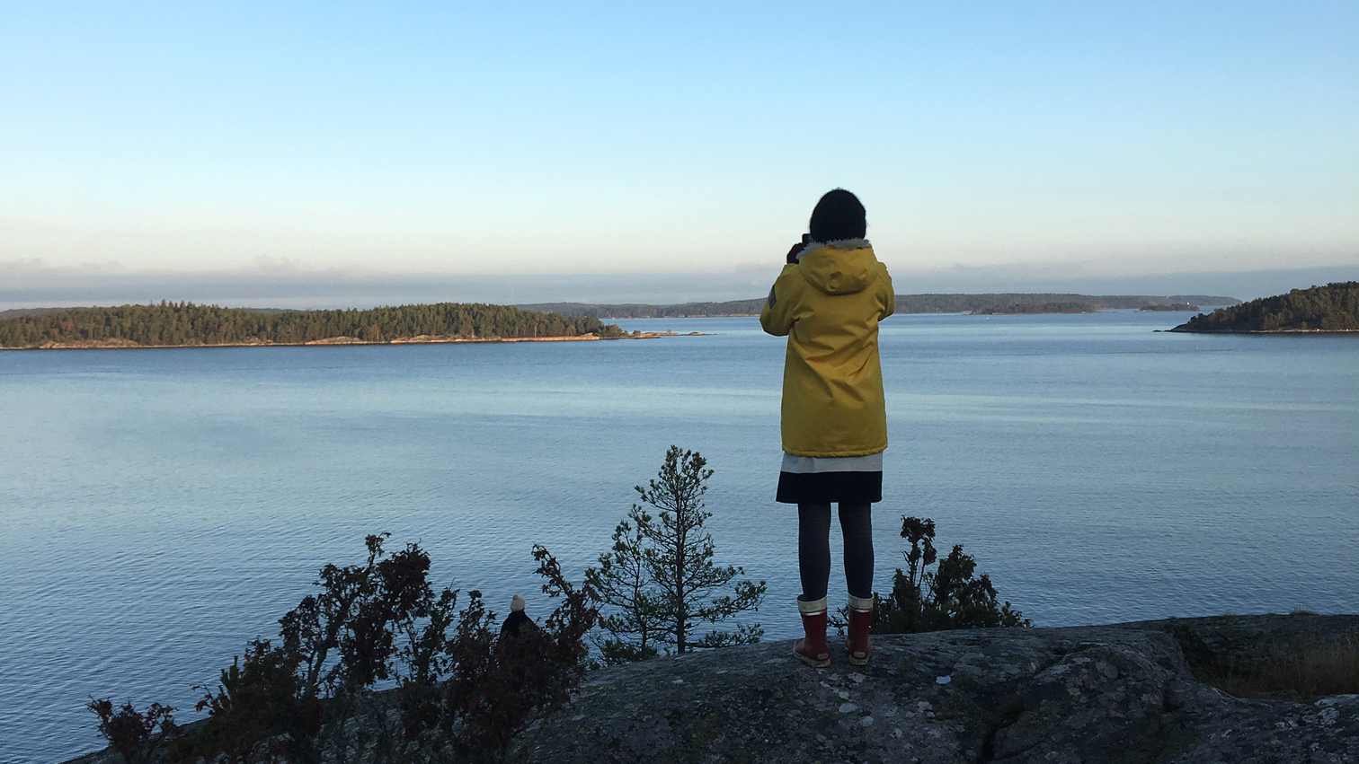 Person looking over the sea from shore.