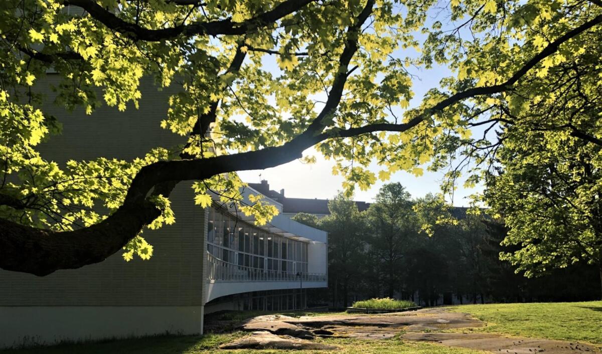 View of library through summery trees
